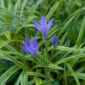 Meet your Posher, Jeanette